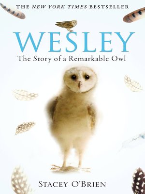 cover image of Wesley